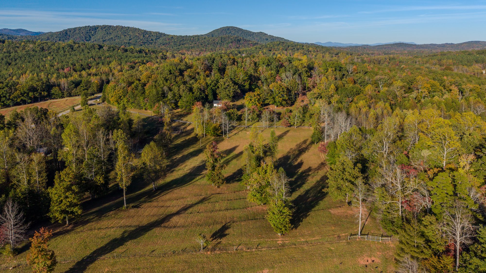 Aerial view of the pasture at Boho Farm